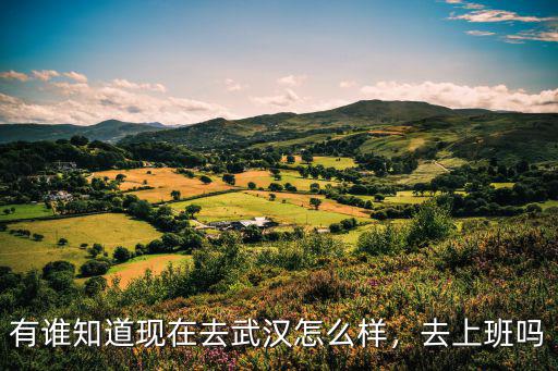 武漢熱風(fēng)店上班怎么樣,在武漢打工生活怎么樣