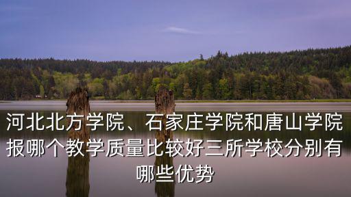 石家莊學(xué)院學(xué)前教育多少分,石家莊學(xué)院怎么樣
