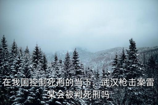 在我國控制死刑的當下，武漢槍擊案雷某會被判死刑嗎