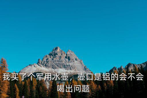 我買了個軍用水壺，壺口是鋁的會不會喝出問題