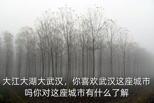 大江大湖大武漢，你喜歡武漢這座城市嗎你對這座城市有什么了解