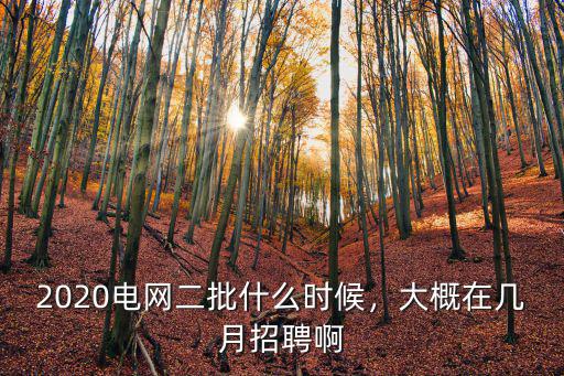2020電網二批什么時候，大概在幾月招聘啊