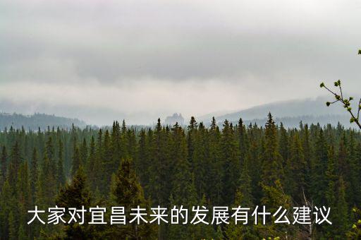 大家對宜昌未來的發(fā)展有什么建議