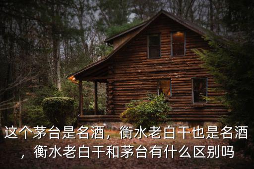 這個茅臺是名酒，衡水老白干也是名酒，衡水老白干和茅臺有什么區別嗎