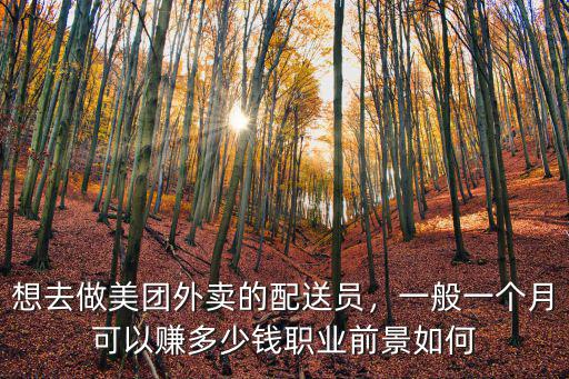 宿州美團一單多少錢一個月,想做美團外賣代理