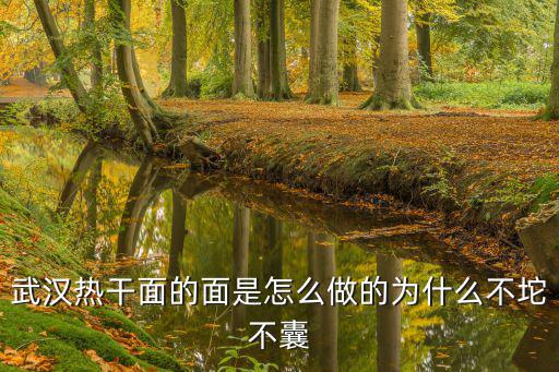 武漢干面是怎么來的,武漢熱干面的面是怎么做的