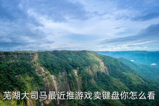 蕪湖大司馬能掙多少錢,蕪湖大司馬人氣下跌嚴重