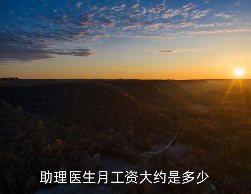 助理醫生月工資大約是多少