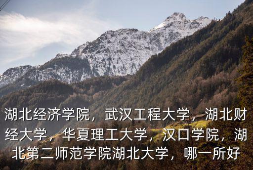 湖北經(jīng)濟學(xué)院，武漢工程大學(xué)，湖北財經(jīng)大學(xué)，華夏理工大學(xué)，漢口學(xué)院，湖北第二師范學(xué)院湖北大學(xué)，哪一所好