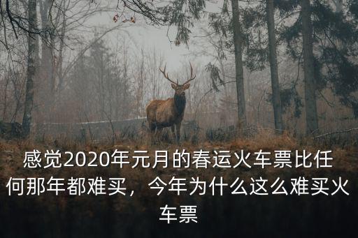 感覺2020年元月的春運(yùn)火車票比任何那年都難買，今年為什么這么難買火車票