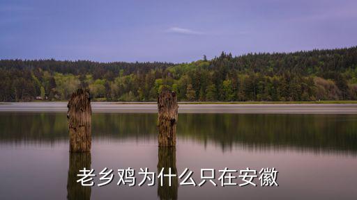 安徽老鄉有多少個,老鄉雞為什么只在安徽