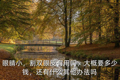 眼睛小，割雙眼皮有用嗎，大概要多少錢，還有什么其他辦法嗎