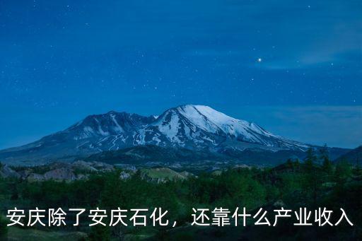 安慶石化占gdp多少,安慶除了安慶石化