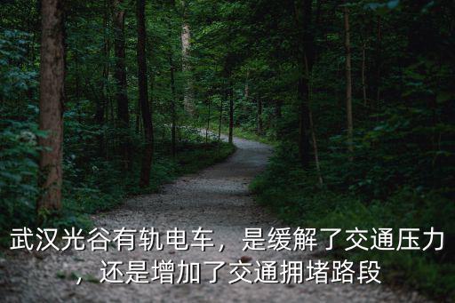 武漢有軌電車客服上班怎么樣,武漢光谷有軌電車