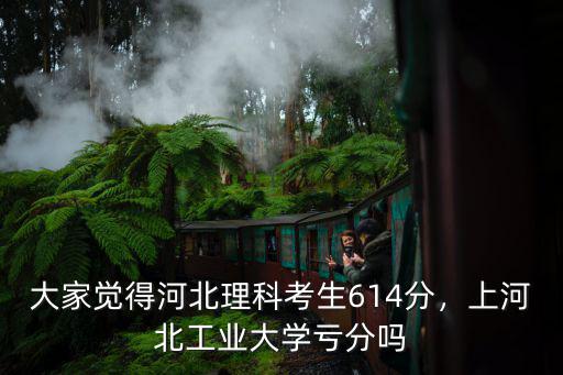 河北工業(yè)大學畢設良是多少分,可以報河北工業(yè)大學嗎