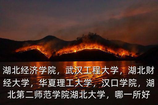 武漢財經大學國際學院怎么樣,武漢學院怎么樣