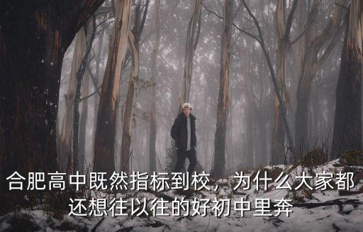 合肥新站壽春中學(xué)指標(biāo)到校多少人,包河大地還是新站中學(xué)