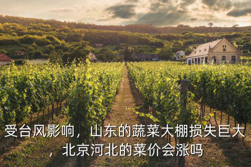 河北有多少個(gè)蔬菜大棚,山東的蔬菜大棚損失巨大