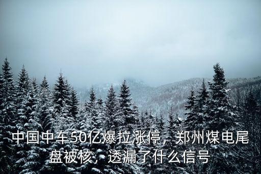 鄭州煤電后續怎么走,股市會怎么走