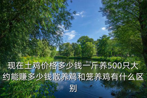現(xiàn)在土雞價(jià)格多少錢(qián)一斤養(yǎng)500只大約能賺多少錢(qián)散養(yǎng)雞和籠養(yǎng)雞有什么區(qū)別