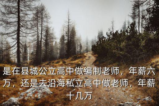 是在縣城公立高中做編制老師，年薪六萬，還是去沿海私立高中做老師，年薪十幾萬