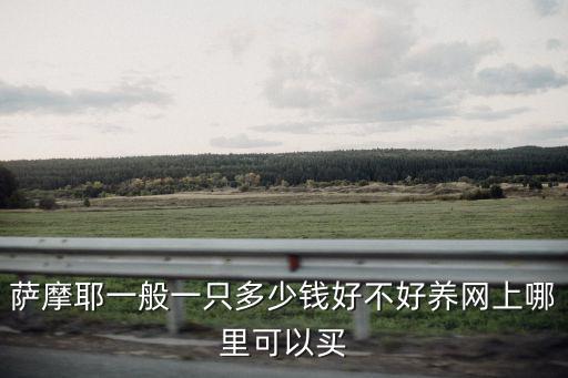 薩摩耶一般一只多少錢好不好養(yǎng)網上哪里可以買