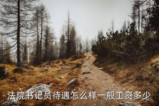 合肥市大通區(qū)書記員工資多少,聘用制書記員工資多少