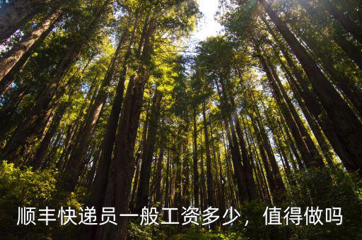 鄂州順風快遞工資怎么樣,順豐快遞員待遇怎么樣