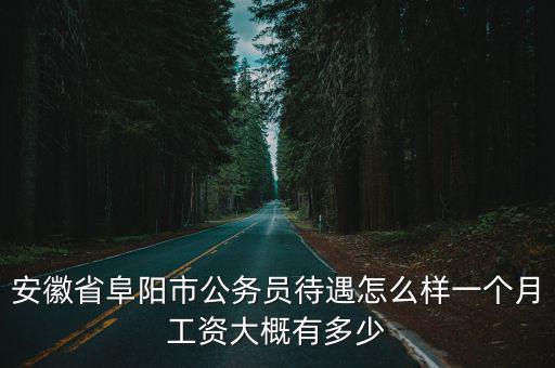 安徽省阜陽市公務員待遇怎么樣一個月工資大概有多少