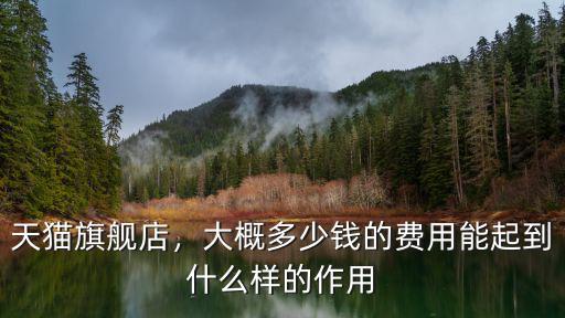 天貓旗艦店到安慶要多少天,開一個天貓旗艦店需要多少錢