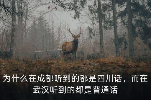 為什么在成都聽到的都是四川話，而在武漢聽到的都是普通話