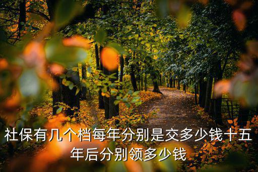 安徽社保有幾個檔次分別多少錢,社保有幾個檔