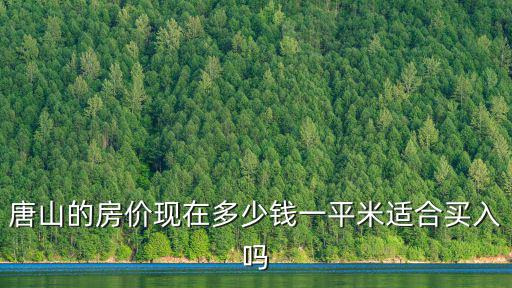唐山的房價現(xiàn)在多少錢一平米適合買入嗎