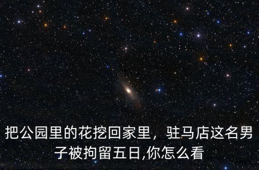 把公園里的花挖回家里，駐馬店這名男子被拘留五日,你怎么看