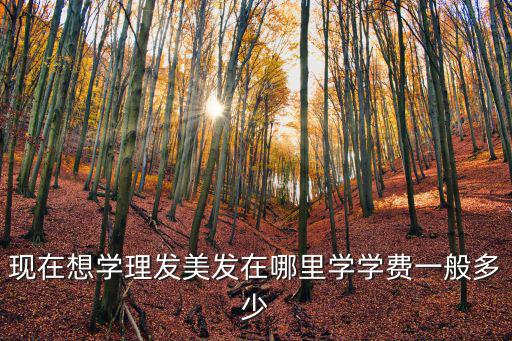 現在想學理發美發在哪里學學費一般多少