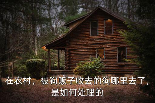 德陽哪里有收狗的地方,德陽哪里有寄養寵物的地方呢
