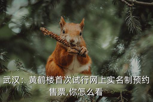 武漢黃鶴樓免費(fèi)門票預(yù)約怎么操作,武漢黃鶴樓免票后
