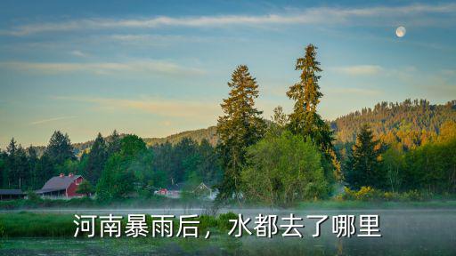 河南暴雨后，水都去了哪里
