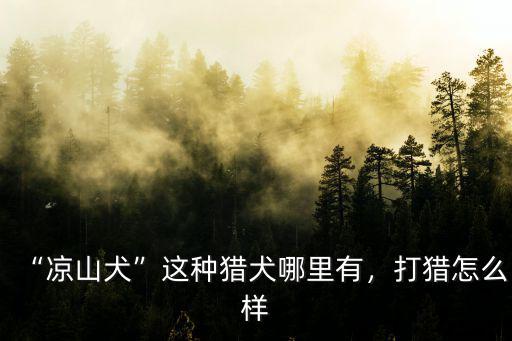 “涼山犬”這種獵犬哪里有，打獵怎么樣