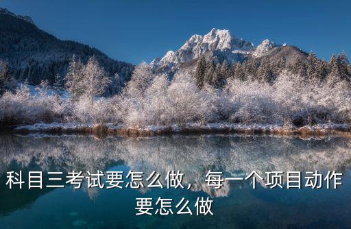 鄂州科目三考試開始前怎么做,科目三考試要怎么做
