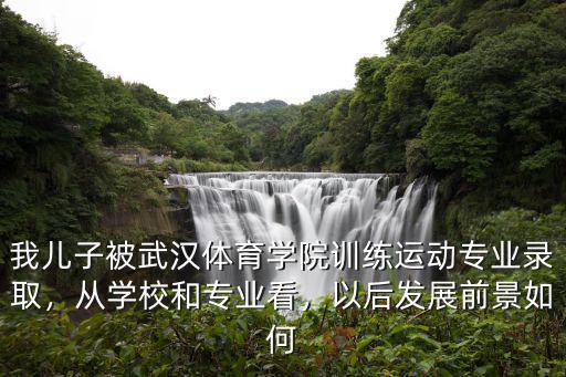 我兒子被武漢體育學院訓練運動專業錄取，從學校和專業看，以后發展前景如何