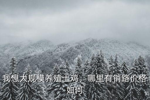 眉山哪里有土雞賣,哪里可以買到大量土雞