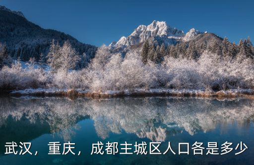 成都哪里人口,成都主城區(qū)人口各是多少