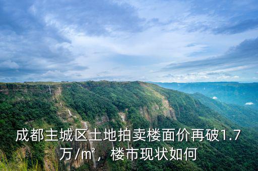 成都土地拍賣哪里看,土地拍賣價格持續走高
