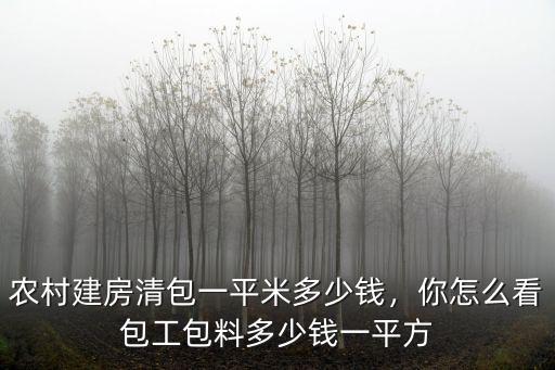 駐馬店大清包是多少錢一平方,包工包料多少錢一平方