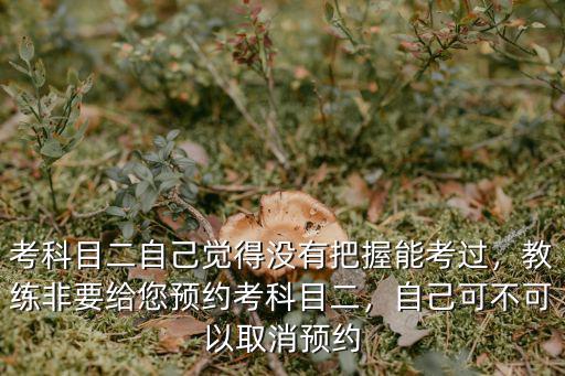 河南科目二預(yù)約怎么取消,教練非要給您預(yù)約考科目二