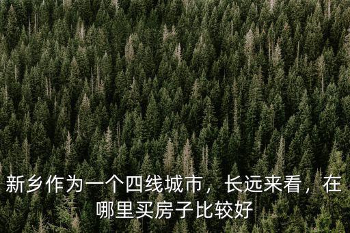 新鄉市靚號哪里好,新鄉市哪個小學好