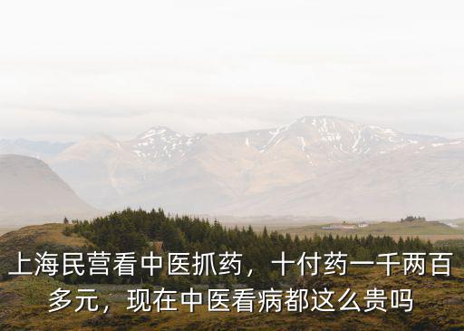上海民營看中醫抓藥，十付藥一千兩百多元，現在中醫看病都這么貴嗎