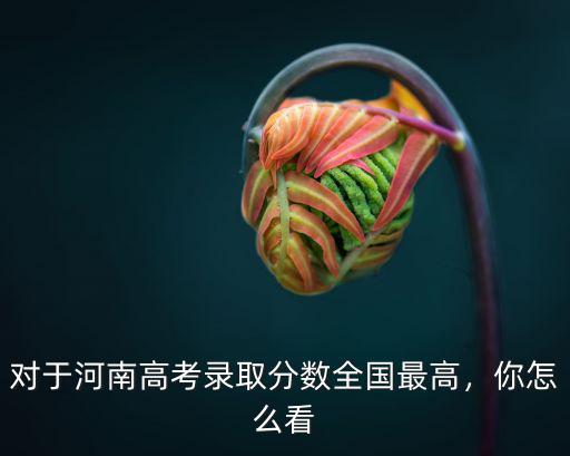 河南魯山高考最高是多少分,今年河北高考最高分多少