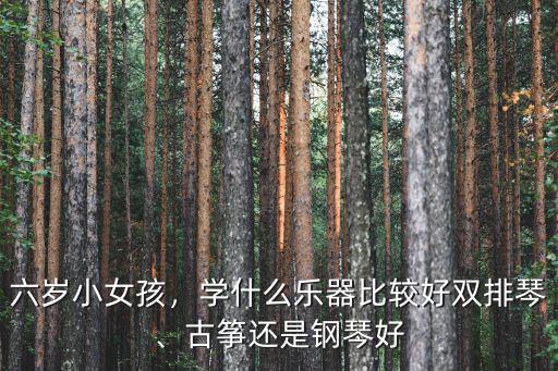 六歲小女孩，學什么樂器比較好雙排琴、古箏還是鋼琴好